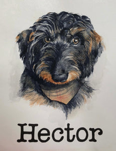 Pet Portraits by Commission