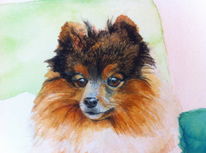 Pet Portraits by Commission