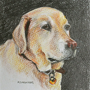 Pet Portraits by Commission