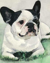 Load image into Gallery viewer, Pet Portraits by Commission

