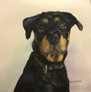 Pet Portraits by Commission