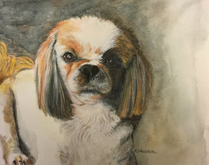 Pet Portraits by Commission