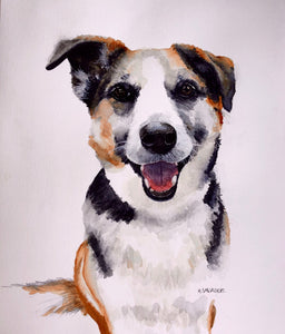 Pet Portraits by Commission
